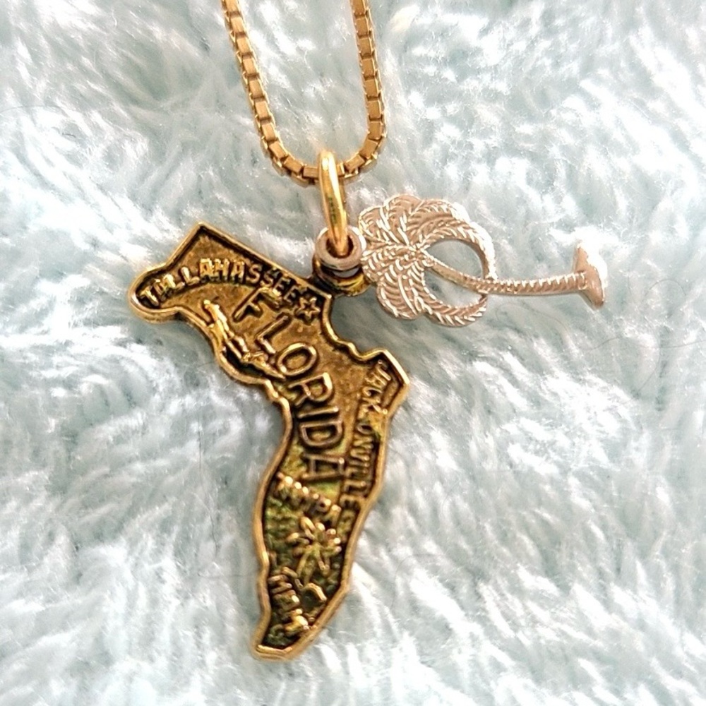 Florida State Pendant Necklace of Gold-plated Sterling Silver with Palm Charm